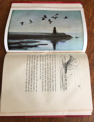 THE SNOW GOOSE.