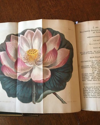 THE BOTANICAL MAGAZINE. Or, Flower-Garden displayed: In which the most ornamental Foreign plants, cultivated in the open ground, the green house, and the stove, are accurately represented in their natural colours.