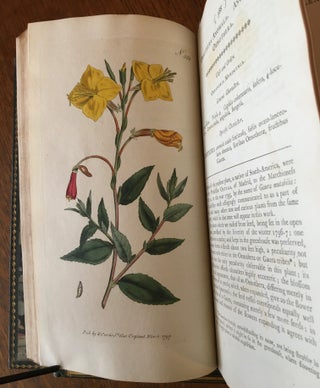 THE BOTANICAL MAGAZINE. Or, Flower-Garden displayed: In which the most ornamental Foreign plants, cultivated in the open ground, the green house, and the stove, are accurately represented in their natural colours.