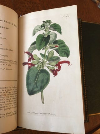 THE BOTANICAL MAGAZINE. Or, Flower-Garden displayed: In wghich the most ornamental Foreign plants, cultivated in the open ground, the green house, and the stove, are accurately represented in their natural colours.