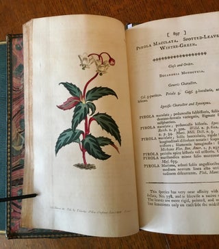 Item #10618 THE BOTANICAL MAGAZINE. Or, Flower-Garden displayed: In which the most ornamental...