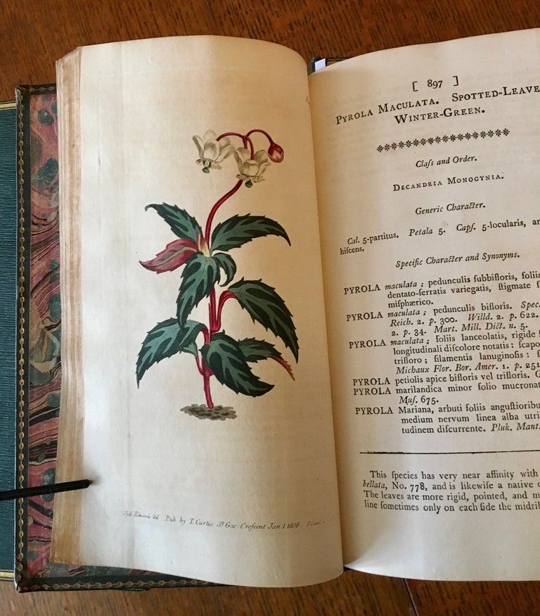 Item #10618 THE BOTANICAL MAGAZINE. Or, Flower-Garden displayed: In which the most ornamental Foreign plants, cultivated in the open ground, the green house, and the stove, are accurately represented in their natural colours. CURTIS. WILLIAM, JOHN. Continues SIMS.
