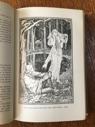 THE YELLOW FAIRY BOOK.