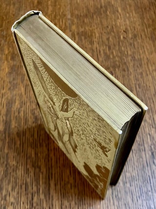 THE YELLOW FAIRY BOOK.