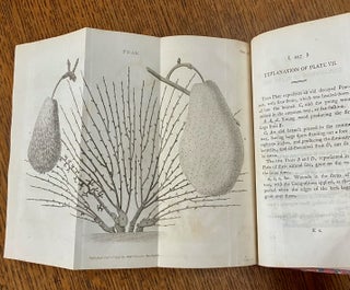A TREATISE ON THE CULTURE AND MANAGEMENT OF FRUIT TREES. In which a new method of pruning and training is fully described. -- The Second edition, with additions.