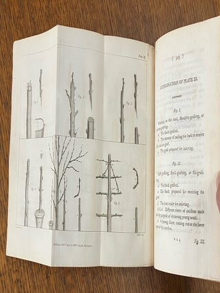 A TREATISE ON THE CULTURE AND MANAGEMENT OF FRUIT TREES. In which a new method of pruning and training is fully described. -- The Second edition, with additions.
