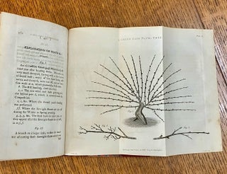 A TREATISE ON THE CULTURE AND MANAGEMENT OF FRUIT TREES. In which a new method of pruning and training is fully described. -- The Second edition, with additions.
