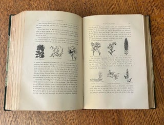 MY GARDEN. ITS PLAN AND CULTURE. Together with a general description of its geology, botany and natural history.