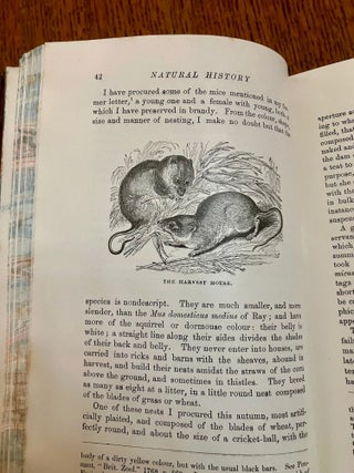THE NATURAL HISTORY AND ANTIQUITIES OF SELBORNE. In the County of Southampton. The Standard edition by E. T. Bennett. Thoroughly revised, with additional notes, by James Edmund Harting. -- Stereotyped edition with ten letters not included in any other edition of the work. Illustrated with engravings by Thomas Bewick and others.