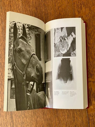 RED RUM. Full and extraordinary story of a horse of courage.