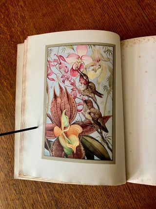 HOURS OF GLADNESS. Translated by A. Teixeira De Mattos.