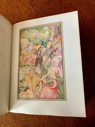 HOURS OF GLADNESS. Translated by A. Teixeira De Mattos.