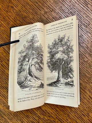 THE BOOK OF TREES. Descriptive of the principal timber trees, and the larger species of palms.