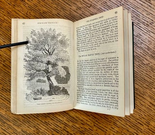 THE BOOK OF TREES. Descriptive of the principal timber trees, and the larger species of palms.