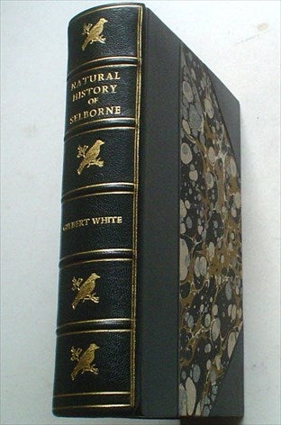 Item #8731 THE NATURAL HISTORY OF SELBORNE. Edited with notes by Grant Allen. WHITE. GILBERT., NEW. EDMUND. H. Illustrates.